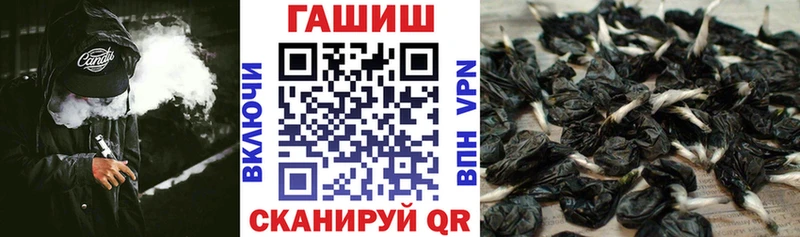 где купить   Циолковский  ГАШИШ Cannabis 