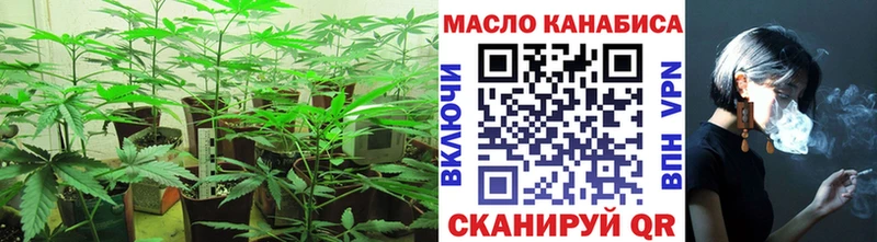 ТГК вейп  Циолковский 